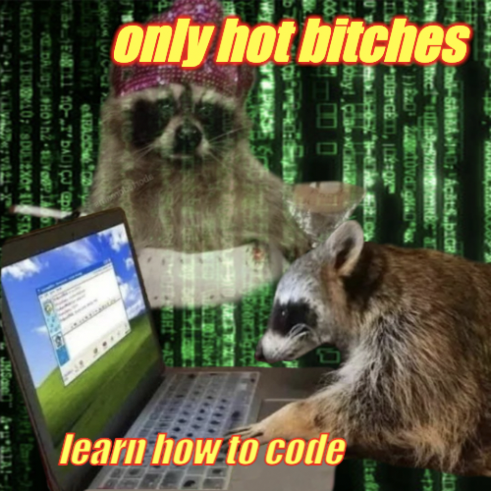 Only hot bitches learn how to code